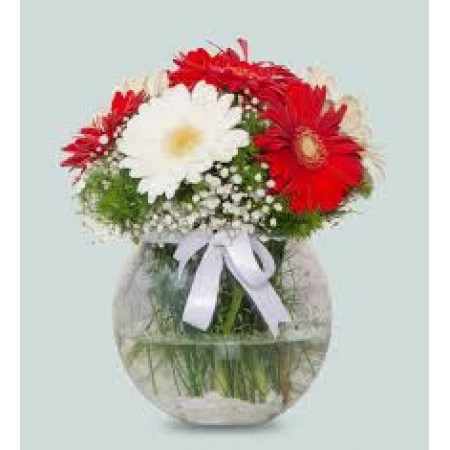malatya cam vazoda gerbera